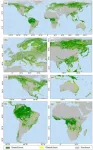 Using training model to map planted and natural forests via satellite image