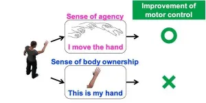 Using VR training to boost our sense of agency and improve motor control