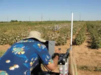 UTA federal research expenditures doubled in 2023