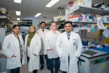 UTEP pharmacy researchers develop potential treatment for fibrosis