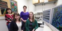 Vanderbilt diabetes researchers track cells ability to regenerate