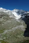 Vanishing glaciers threaten alpine biodiversity 3