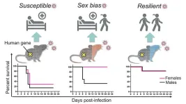 Variable patient responses to SARS-CoV-2 infection are mimicked in genetically diverse mice