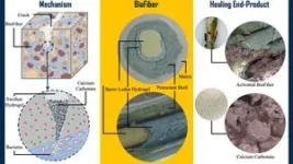 Veins of bacteria could form a self-healing system for concrete infrastructure 2