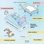 Ventilating the rectum to support respiration