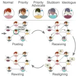 Verified users on social media networks drive polarization and the formation of echo chambers