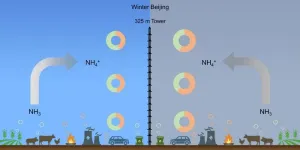 Vertical atmospheric measurements and simulations demonstrate important contribution of combustion-related ammonium during haze pollution in Beijing