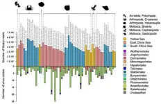 Virome in marine ecosystems reveal remarkable invertebrate RNA virus diversity