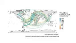 Virtual pollination trade uncovers global dependence on biodiversity for food consumption