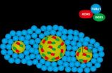 Virus rounds up enzymes, disarms plant