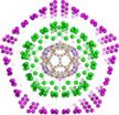 Virus structure inspires novel understanding of onion-like carbon nanoparticles