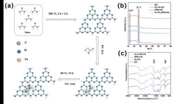 Visible light-induced photocatalysis–self-Fenton degradation of P-Clphoh over graphitic carbon nitride by a polyethylenimine bifunctional catalyst