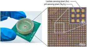 Visualization of chemical phenomena in the microscopic world using semiconductor image sensor