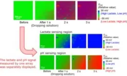 Visualization of chemical phenomena in the microscopic world using semiconductor image sensor 2