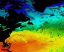 Warm water causes extra-cold winters in northeastern North America and northeastern Asia 