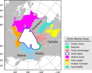 Warming Arctic draws marine predators northwards