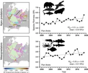 Warming Arctic draws marine predators northwards 2