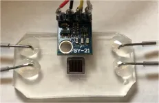 Watching the enzymes that convert plant fiber into simple sugars