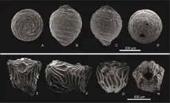 Water flora in the lakes of the ancient Tethys Ocean islands