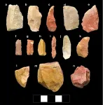 Waxing and waning of environment influences hominin dispersals across ancient Iran 2