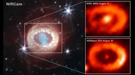 Webb finds evidence for neutron star at heart of young supernova remnant