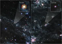 Webb locates dust reservoirs in two supernovae