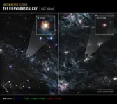 Webb locates dust reservoirs in two supernovae 2