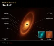 Webb looks for Fomalhaut’s asteroid belt and finds much more 2