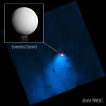 Webb Telescope finds towering plume of water escaping from Saturn moon