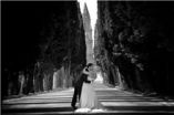 Weddings, Women, and Wine Under the Tuscan Sun 2