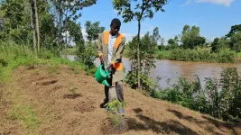 Western Kenyan farmers favor restoring land with native trees. Yet barriers remain