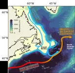 What controls the pathways of the Labrador Current?