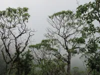 What Darwin couldn’t see: Expedition to uncover invisible life in Galápagos