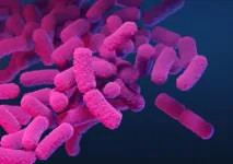 What makes a pathogen antibiotic-resistant?