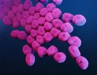 What makes a pathogen antibiotic-resistant? 2