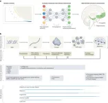 What researchers know about the genetic complexity of schizophrenia, to date