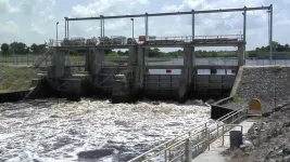 What’s really ‘fueling’ harmful algae in Florida’s lake Okeechobee?