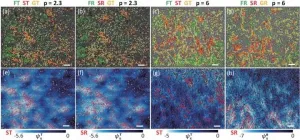 What stops flows in glassy materials?