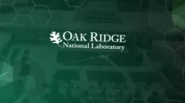 When it comes to DNA replication, humans and baker’s yeast are more alike than different 2