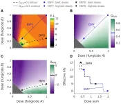 When theoretical and practical collide: researchers introduce new optimal recommendations for fungicide resistance management