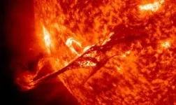 When trees 'talk:' Researchers probe ancient wood for clues about massive solar storms 2