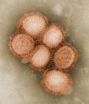 When well-known flu strains hook up dangerous progeny can result