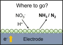 Where to go with nitrate electroreduction reaction?