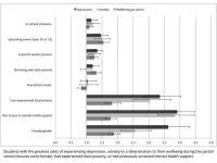 Which students are at most risk of mental health problems during COVID-19 lockdowns?