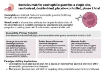 Wider search needed to improve outcomes for eosinophilic food allergy