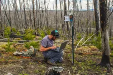 Wildfire resilience initiative launches with $3.7 million in seed funding from the Gordon and Betty Moore Foundation