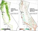 Wildfires emit more greenhouse gases than assumed in California climate targets