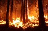 Wildfires emit more greenhouse gases than assumed in California climate targets 2