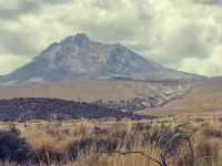 Wildfires in the Andes cause severe soil degradation and hinder ecosystem recovery