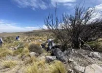 Wildfires in the Andes cause severe soil degradation and hinder ecosystem recovery 2